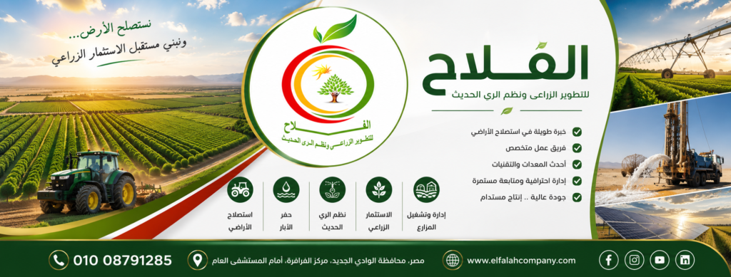 لماذا تُعد الفرافرة أفضل وجهة للاستثمار الزراعي في مصر؟