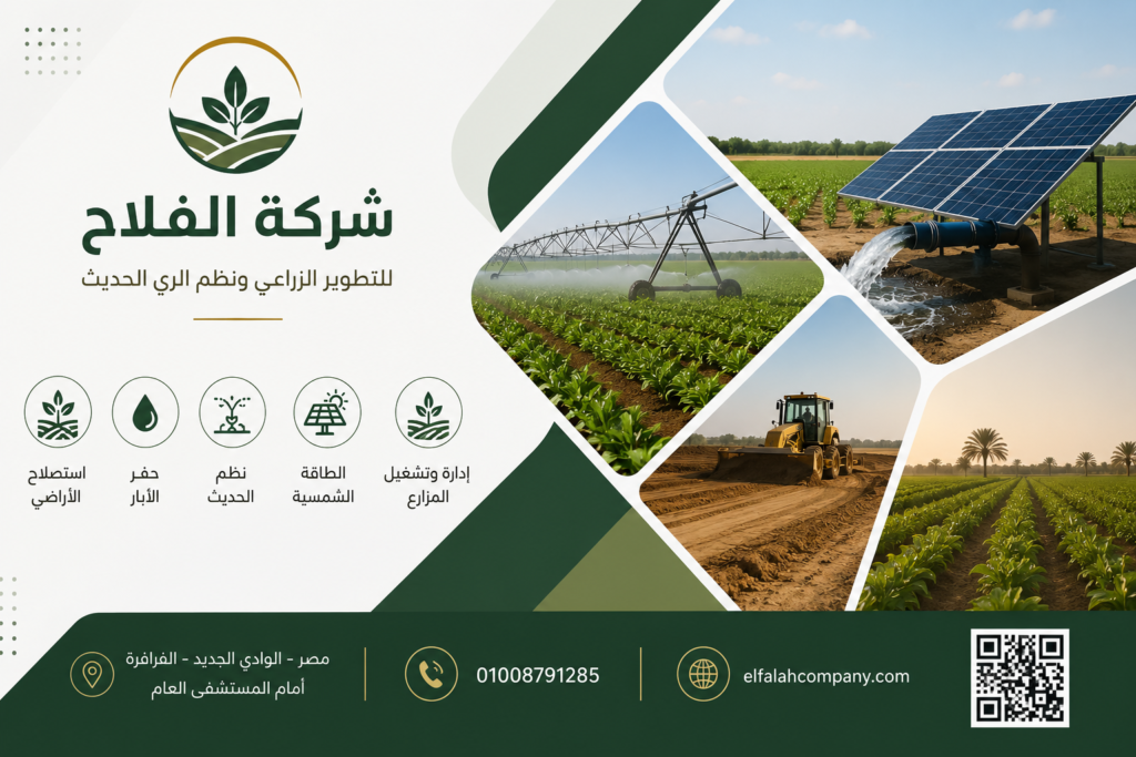استصلاح الأراضي الصحراوية… استثمار في المستقبل