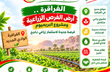 الفرافرة.. أرض الفرص الزراعية ومشروع البريميوم